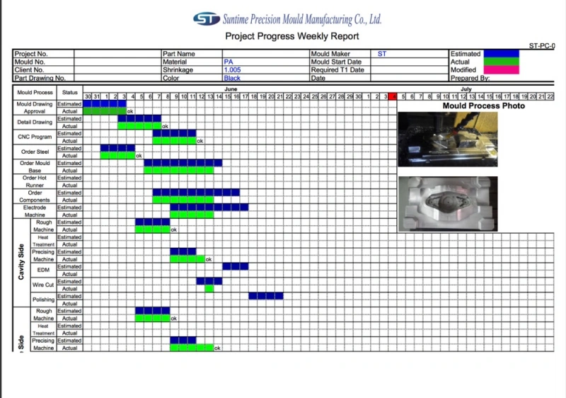 Weekly Report Suntime Mould